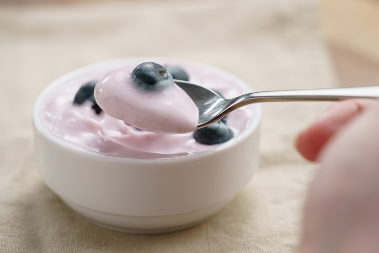 dairy